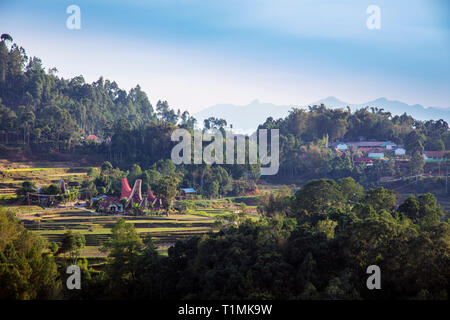 Un Torajan highland villaggio con case tradizionali impostato in campi di riso nel Sud di Sulawesi, Indonesia Foto Stock