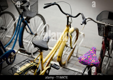 Biciclette sul rack per bicicletta Foto Stock