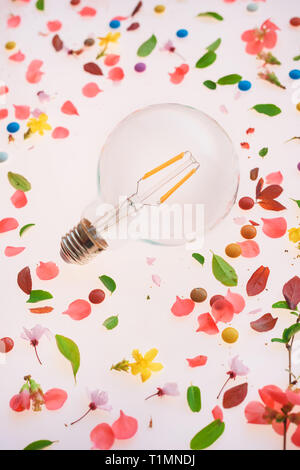 Lampadina della luce di creatività e nuove idee concetto oltre la primavera composizioni floreali di colorati petali e foglie Foto Stock