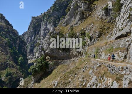 Gli escursionisti sulla Gola di Cares trail, con alcuni passando attraverso una roccia scavate tunnel, Picos de Europa Mountains, Asturias, Spagna, Agosto 2016. Foto Stock