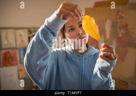 Curioso artista femminile esaminando autumn leaf Foto Stock