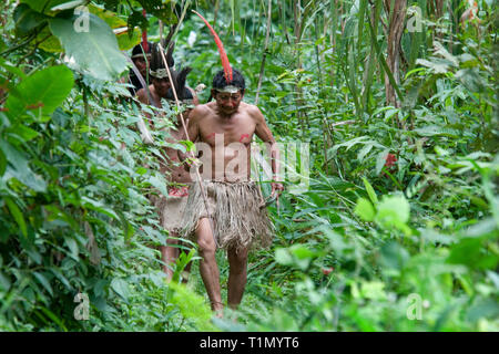 Maleku indiani nativi che mantiene la loro tradizione fino a oggi, Palente Magarita, Costa Rica Foto Stock