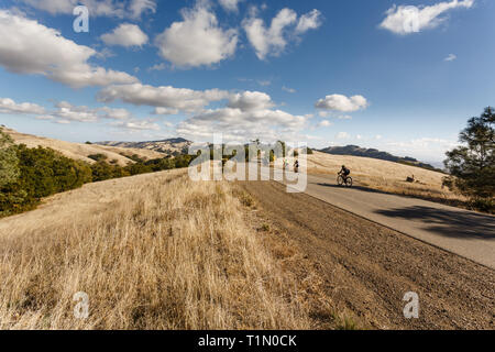 Un gruppo di ciclisti poteri fino a lungo sulla collina di biciclette in Mt Diablo Park sulla giornata di sole Foto Stock