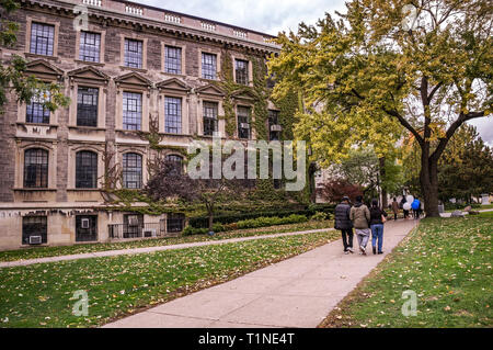 Bellissimo Parco accanto a C.David Naylor edificio del Tanz Centro per la ricerca delle Malattie Neurodegenerative della Facoltà di Medicina dell' Foto Stock