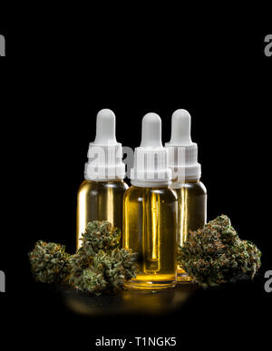 Golden olio ottenuto da una estrazione di cannabis imbottigliato in vasi con fresche raccolte gemme isolate su uno sfondo nero Foto Stock