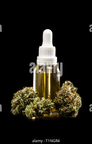 Golden olio ottenuto da una estrazione di cannabis imbottigliato in un vasetto con fresche raccolte gemme isolate su uno sfondo nero Foto Stock