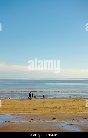 La gente camminare i loro cani su una spiaggia di sabbia in corrispondenza del bordo del mare in una bella giornata di sole a Garlieston in Dumfries and Galloway, Scotland, Regno Unito. Foto Stock