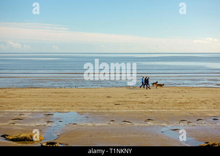 La gente camminare i loro cani su una spiaggia di sabbia in corrispondenza del bordo del mare in una bella giornata di sole a Garlieston in Dumfries and Galloway, Scotland, Regno Unito. Foto Stock