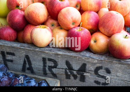 Farmstand con mele e piombi - fresco di raccolto - Aziende agricole Foto Stock