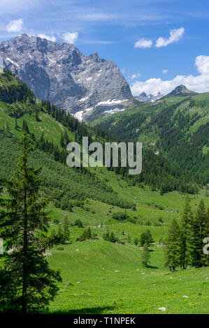 Colpo verticale dello splendido paesaggio alpino Foto Stock