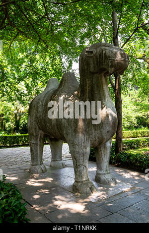 Statua di un cammello in via sacra in Ming Xiaoling Mausoleo, situato sul monte Zijin, Nanjing, provincia dello Jiangsu, Cina. Ming Xiaoling mausoleo è Foto Stock