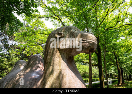 Statua di un cammello in via sacra in Ming Xiaoling Mausoleo, situato sul monte Zijin, Nanjing, provincia dello Jiangsu, Cina. Ming Xiaoling mausoleo è Foto Stock