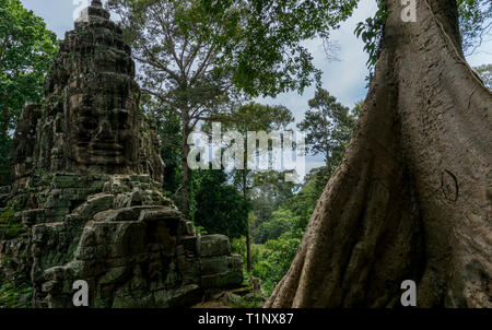 Rovine di Angkor profondità nascoste nella lussureggiante e lussureggianti giungle della Cambogia Foto Stock