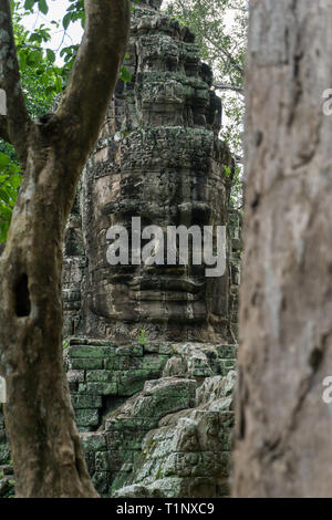 La scultura incorniciato da alberi della giungla a Angkor Sito Patrimonio Mondiale Foto Stock