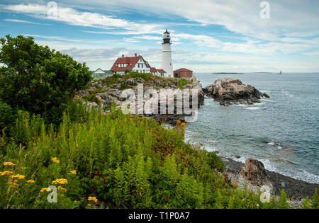 Estate fiori selvatici circondano Portland Head Lighthouse, il più antico faro del Maine. Foto Stock