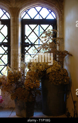 Fiori secchi di fronte a una finestra di antiquariato in Inghilterra. Manor, terra lo stile di una casa. Foto Stock