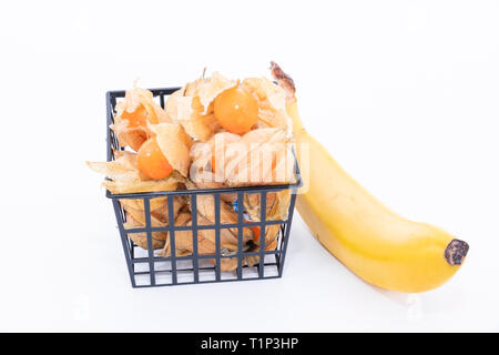 La pianta conosciuta come aguaymanto, uchuva, uvilla o ushun Physalis (peruviano), noti anche come Golden berry è una pianta erbacea appartenente alla famiglia S Foto Stock