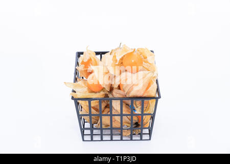 La pianta conosciuta come aguaymanto, uchuva, uvilla o ushun Physalis (peruviano), noti anche come Golden berry è una pianta erbacea appartenente alla famiglia S Foto Stock