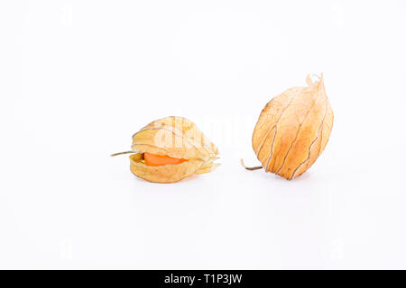 La pianta conosciuta come aguaymanto, uchuva, uvilla o ushun Physalis (peruviano), noti anche come Golden berry è una pianta erbacea appartenente alla famiglia S Foto Stock