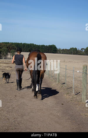 Per andare a cavallo. Solo a me, il mio cavallo e il mio cane. Questo è il modo in cui mi piace per sfuggire da tutto il mondo. Niente come una corsa da dimenticare Foto Stock