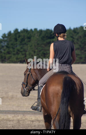 Per andare a cavallo. Solo a me, il mio cavallo e il mio cane. Questo è il modo in cui mi piace per sfuggire da tutto il mondo. Niente come una corsa da dimenticare Foto Stock