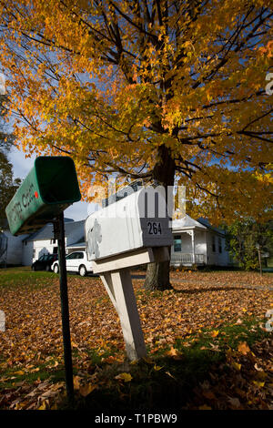 Caduta rurale scena con giallo brillante foglie in Brattleboro, Windham County, Vermont, USA Foto Stock