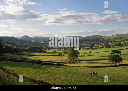 English Landscape Upper Dovedale Peak District National Park, Staffordshire Inghilterra Regno Unito, terreni agricoli inglesi campagna britannica Foto Stock