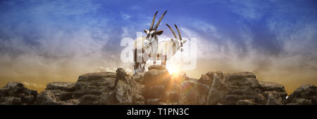 Ibex su roccia in montagna al tramonto. Il rendering 3D Foto Stock