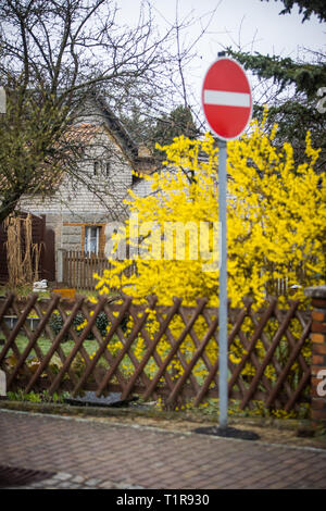 28 marzo 2019, in Sassonia, Mühlrose: vista in una via del borgo Mühlrose nella Lausitz. Il contratto per la nuova sistemazione del villaggio tra i comuni di Trebendorf e Schleife e la società energetica Leag è stato firmato. Mühlrose è uno degli ultimi villaggi del distretto Lusatian per dare modo a carbone marrone, che è quello di essere dragati all inizio del 2030s. Lausitz Energie Bergbau AG si aspetta un volume di produzione di 150 milioni di tonnellate di carbone. Il nuovo mulino rose si trova quindi nel ciclo di sette chilometri di distanza. Foto: Oliver Killig/dpa-Zentralbild/dpa Foto Stock