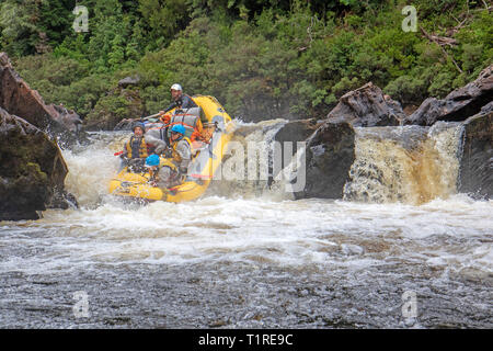 Raft esegue un rapido in Propsting Gorge sul fiume Franklin Foto Stock