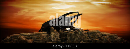 Dynastes hercules al tramonto. Il rendering 3D Foto Stock