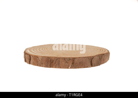 Ceppo di legno isolato su sfondo bianco. Sezione di tronco di albero. Foto Stock