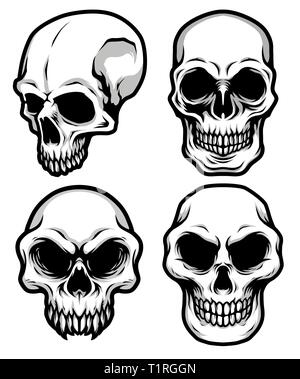 Raccolta di dettagliate cranio classico Capo Bianco e Nero illustrazione Illustrazione Vettoriale