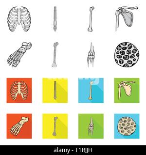 Nervatura,colonna vertebrale,femore,piedi,fibre,gabbia,chiropratica,rotto,bacino,caviglia,,ossea sana,xray,backbone,fibula,hip,gamba,scientific,corpo vertebrale,,shin,pelvico podologia,,GINOCCHIO,muscolo,l'osteoporosi,tibia,l'avampiede,l'epitelio,sterno,postura,medicina clinica,,biology,medical,osso,skeleton,anatomia umana,,organi,impostare,vettore,icona,immagine,isolato,raccolta,design,l'elemento,graphic,segno vettori vettore , Illustrazione Vettoriale