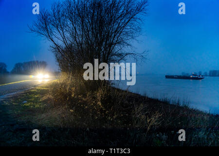 Frachtschiff bei auf dem Rhein bei Xanten, am Niederrhein, bei Nebel in der Dämmerung, Auto auf Landstrasse, Foto Stock