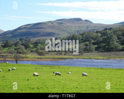 Scena Glencar Foto Stock