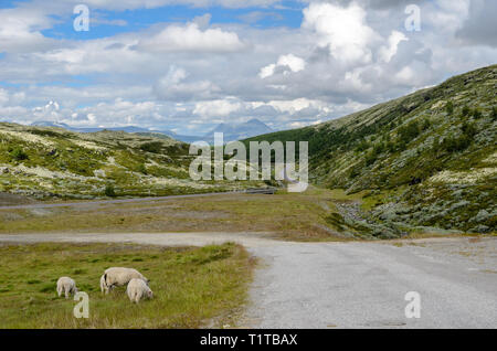 Rondane National Park Foto Stock
