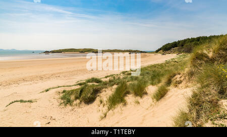 Llandwyn Bay di Anglesey, Gwynedd, Wales, Regno Unito Foto Stock