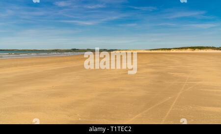 Bae Malltraeth vicino Llandwyn Bay di Anglesey, Gwynedd, Wales, Regno Unito Foto Stock