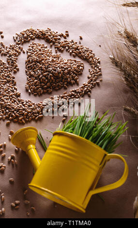 Erba di frumento semi forma di cuore e fresco di frumento in annaffiatoio. Amore di fibra sana nozione di cibo Foto Stock