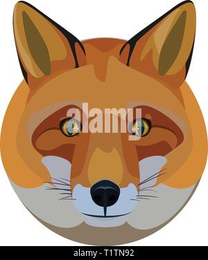 Circolare testa fox logo o illustrazione. Illustrazione Vettoriale