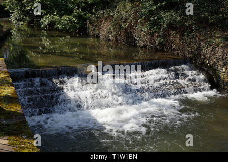 Fiume Sheaf che scorre attraverso Millhouses Park, Sheffield, Inghilterra, Regno Unito Foto Stock