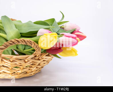 Risorse grafiche, arrivo della primavera bouquet di tulipani Foto Stock