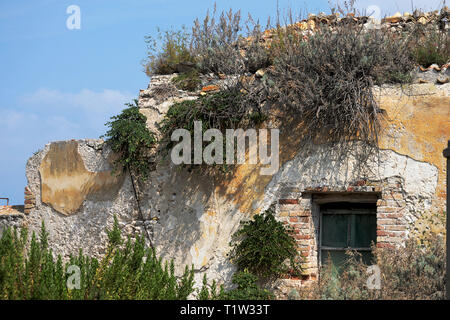 Ritratto di edificio abbandonato sotto il sole estivo raggi Foto Stock