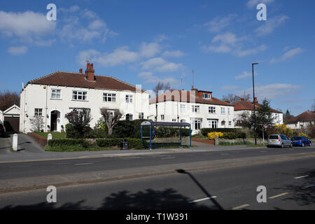 Sulla proprietà Abbeydale Road South, Millhouses, Sheffield, England, Regno Unito Foto Stock