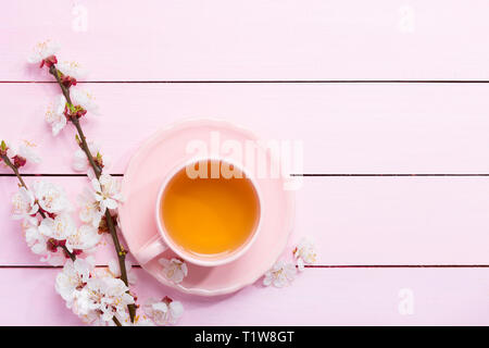Tazza di tè e fiori di primavera (blumi di una albicocca) su una luce rosa di un tavolo di legno. Foto Stock