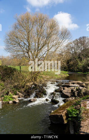 Il fiume Sid a Fortescue, nella periferia di Sidmouth, Devon, Regno Unito Foto Stock