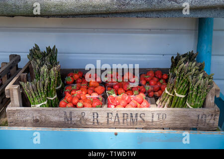 Pannets inglese di fragole e asparagi in vendita presso la Sala Wiveton azienda frutticola in North Norfolk, Inghilterra. Foto Stock