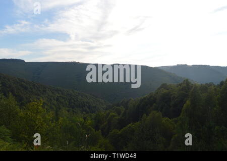 Galiziano grandi boschi di pini ed eucalipti nelle montagne vicino a Navia De Suarna. Natura, architettura, storia, street photography. Agosto 2 Foto Stock