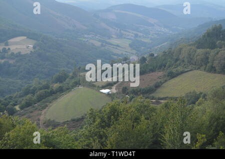 Galiziano grandi boschi di pini ed eucalipti nelle montagne vicino a Navia De Suarna. Natura, architettura, storia, street photography. Agosto 2 Foto Stock